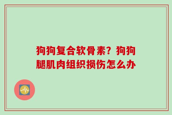 狗狗复合软骨素？狗狗腿肌肉组织损伤怎么办