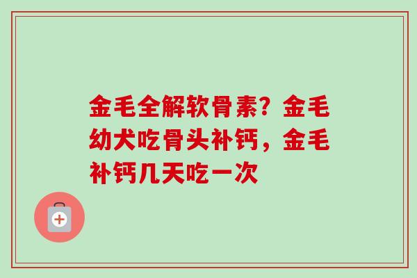 金毛全解软骨素?金毛幼犬吃骨头补钙,金毛补钙几天吃一次 金毛全解软骨素?金毛幼犬吃骨头补钙,金毛补钙几天吃一次