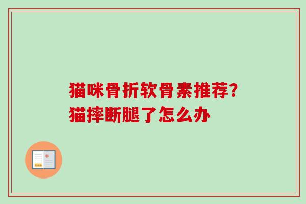 猫咪骨折软骨素推荐？猫摔断腿了怎么办