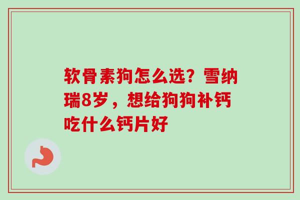 软骨素狗怎么选？雪纳瑞8岁，想给狗狗补钙吃什么钙片好