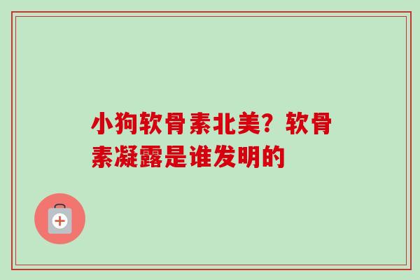 小狗软骨素北美？软骨素凝露是谁发明的