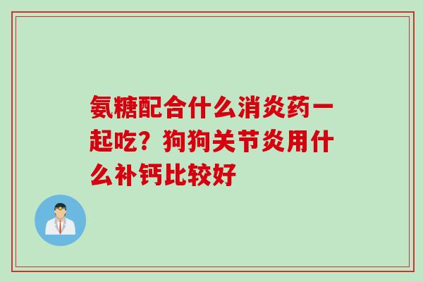 氨糖配合什么消炎药一起吃？狗狗关节炎用什么补钙比较好