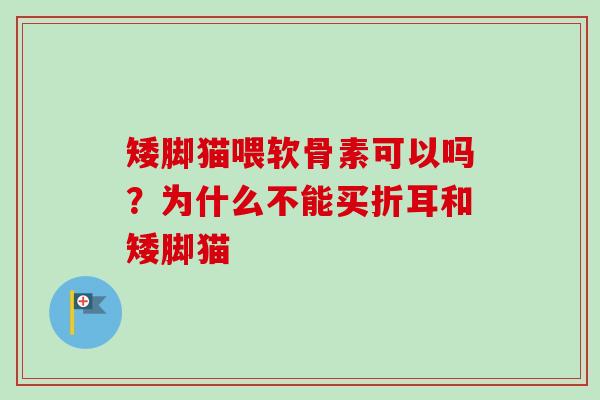 矮脚猫喂软骨素可以吗？为什么不能买折耳和矮脚猫
