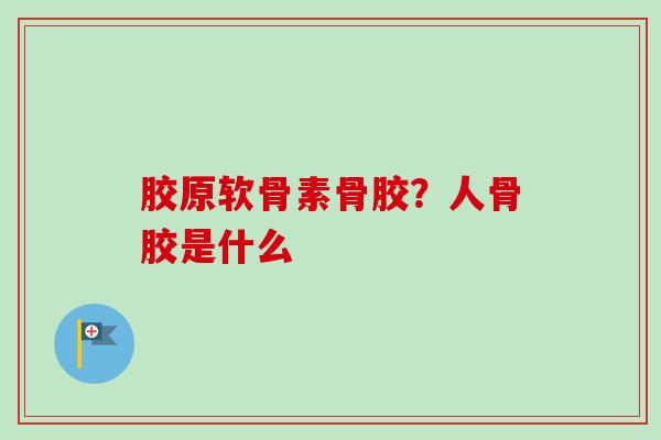 胶原软骨素骨胶？人骨胶是什么