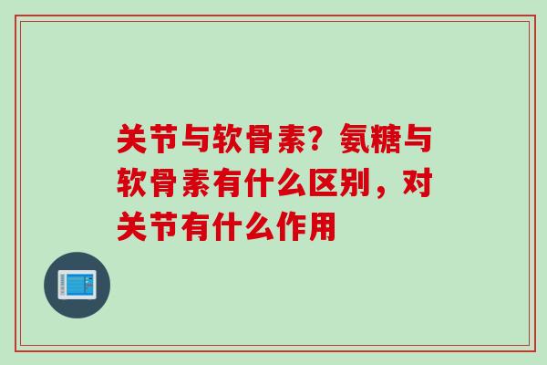 关节与软骨素？氨糖与软骨素有什么区别，对关节有什么作用