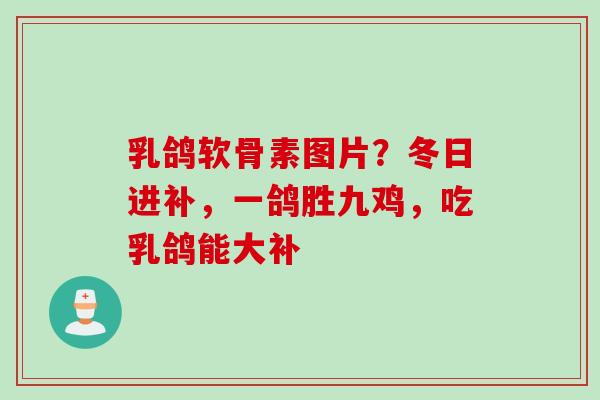 乳鸽软骨素图片？冬日进补，一鸽胜九鸡，吃乳鸽能大补