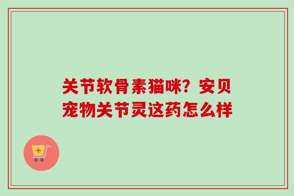 关节软骨素猫咪？安贝宠物关节灵这药怎么样
