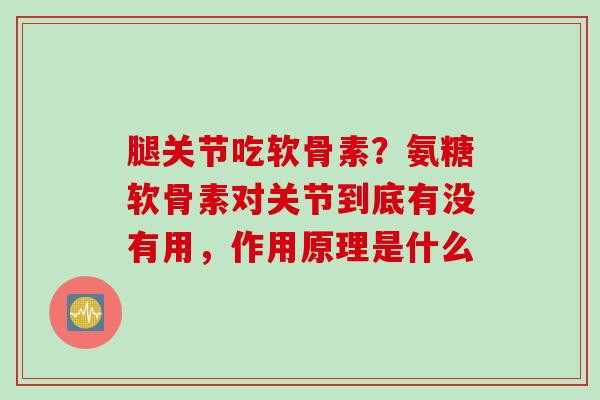 腿关节吃软骨素？氨糖软骨素对关节到底有没有用，作用原理是什么