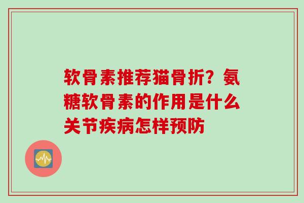 软骨素推荐猫骨折？氨糖软骨素的作用是什么关节疾病怎样预防