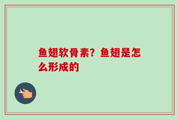 鱼翅软骨素？鱼翅是怎么形成的