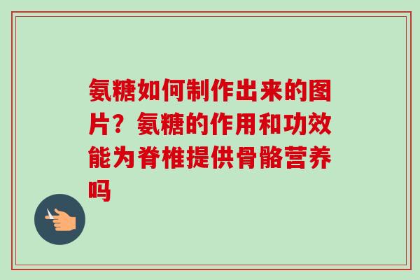氨糖如何制作出来的图片？氨糖的作用和功效能为脊椎提供骨骼营养吗