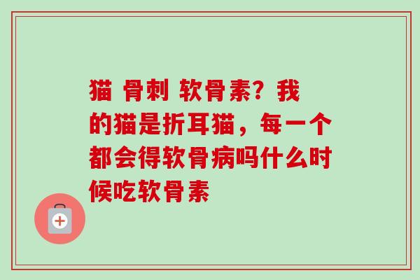 猫 骨刺 软骨素？我的猫是折耳猫，每一个都会得软骨病吗什么时候吃软骨素