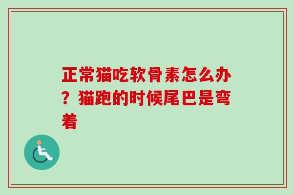 正常猫吃软骨素怎么办？猫跑的时候尾巴是弯着
