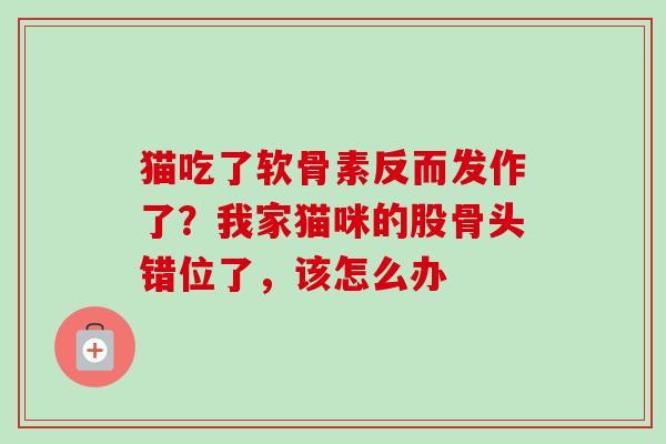 猫吃了软骨素反而发作了？我家猫咪的股骨头错位了，该怎么办