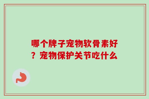 哪个牌子宠物软骨素好？宠物保护关节吃什么