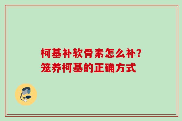 柯基补软骨素怎么补？笼养柯基的正确方式