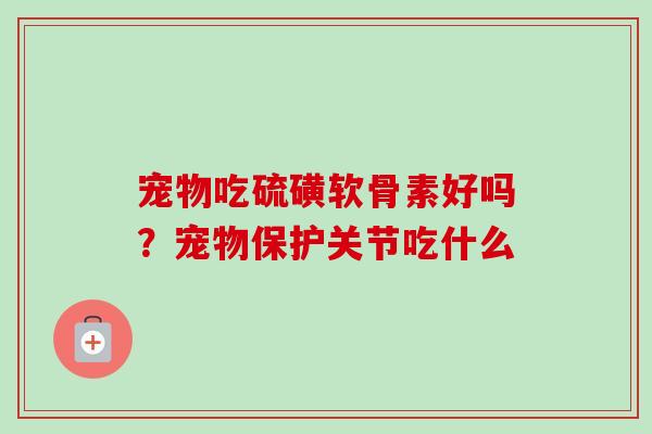 宠物吃硫磺软骨素好吗？宠物保护关节吃什么