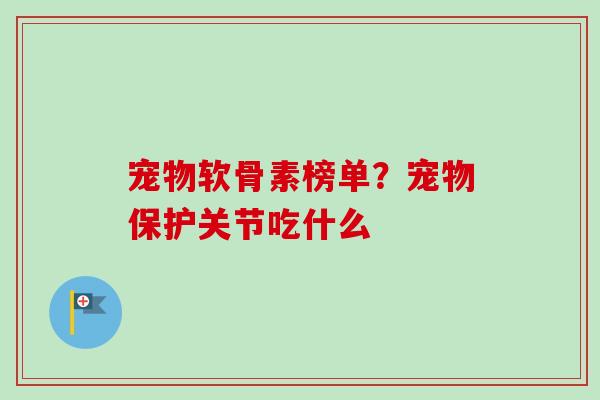 宠物软骨素榜单？宠物保护关节吃什么