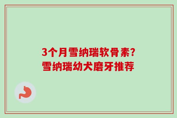 3个月雪纳瑞软骨素？雪纳瑞幼犬磨牙推荐