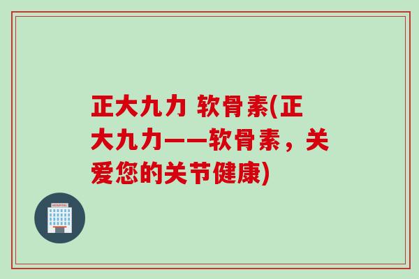 正大九力 软骨素(正大九力——软骨素，关爱您的关节健康)