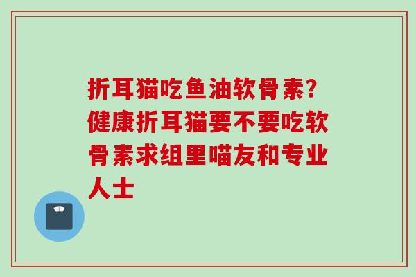 折耳猫吃鱼油软骨素?健康折耳猫要不要吃软骨素求组里喵友和专业人士 折耳猫吃鱼油软骨素?健康折耳猫要不要吃软骨素求组里喵友和专业人士