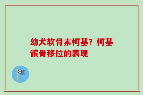幼犬软骨素柯基？柯基髌骨移位的表现