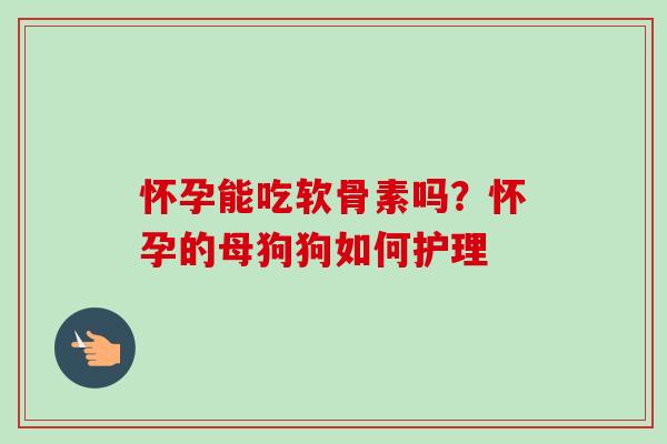 怀孕能吃软骨素吗？怀孕的母狗狗如何护理