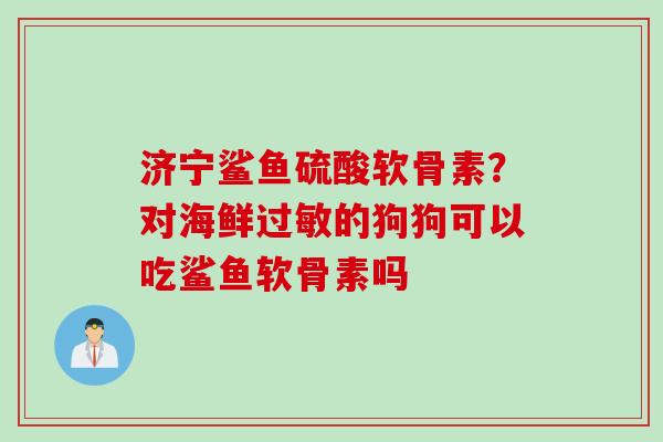 济宁鲨鱼硫酸软骨素？对海鲜过敏的狗狗可以吃鲨鱼软骨素吗