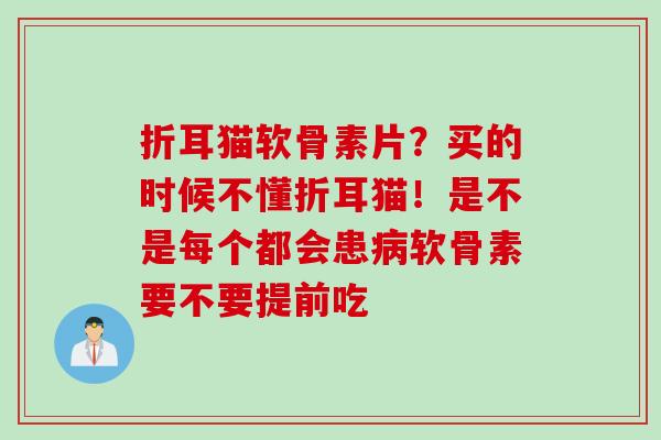 折耳猫软骨素片？买的时候不懂折耳猫！是不是每个都会患病软骨素要不要提前吃