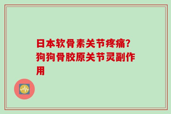日本软骨素关节疼痛？狗狗骨胶原关节灵副作用