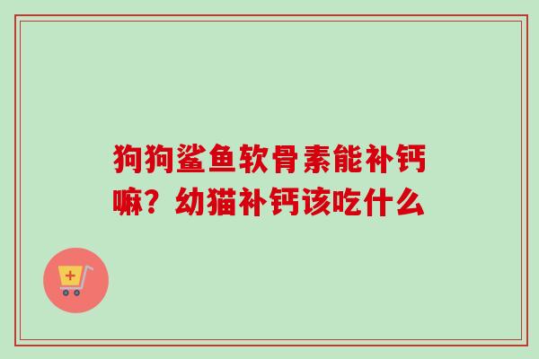 狗狗鲨鱼软骨素能补钙嘛？幼猫补钙该吃什么