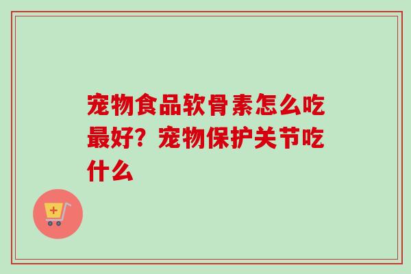 宠物食品软骨素怎么吃最好？宠物保护关节吃什么