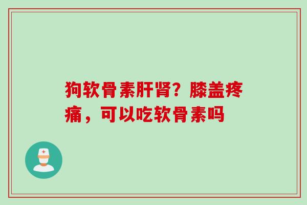 狗软骨素肝肾？膝盖疼痛，可以吃软骨素吗