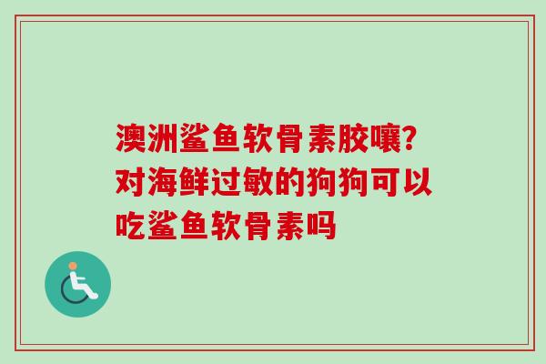 澳洲鲨鱼软骨素胶嚷？对海鲜过敏的狗狗可以吃鲨鱼软骨素吗