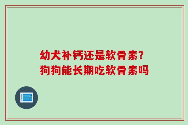 幼犬补钙还是软骨素？狗狗能长期吃软骨素吗