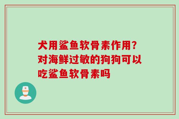 犬用鲨鱼软骨素作用？对海鲜过敏的狗狗可以吃鲨鱼软骨素吗