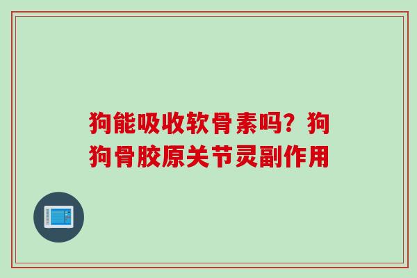 狗能吸收软骨素吗？狗狗骨胶原关节灵副作用