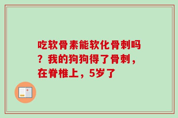 吃软骨素能软化骨刺吗？我的狗狗得了骨刺，在脊椎上，5岁了