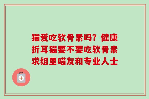 猫爱吃软骨素吗？健康折耳猫要不要吃软骨素求组里喵友和专业人士