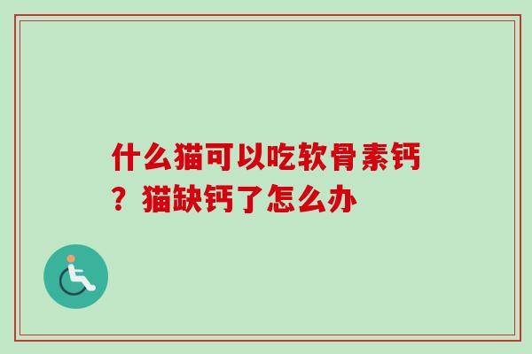 什么猫可以吃软骨素钙？猫缺钙了怎么办