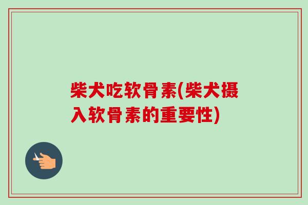 柴犬吃软骨素(柴犬摄入软骨素的重要性)