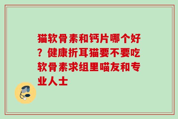 猫软骨素和钙片哪个好？健康折耳猫要不要吃软骨素求组里喵友和专业人士