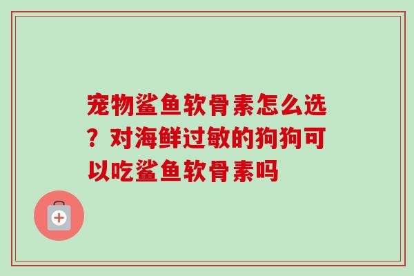 宠物鲨鱼软骨素怎么选？对海鲜过敏的狗狗可以吃鲨鱼软骨素吗