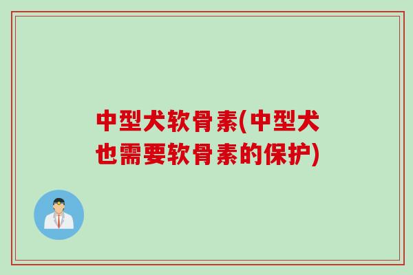 中型犬软骨素(中型犬也需要软骨素的保护)