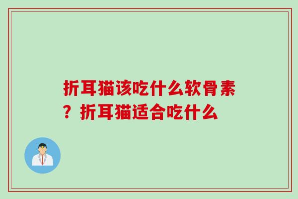 折耳猫该吃什么软骨素?折耳猫适合吃什么 折耳猫该吃什么软骨素?折耳猫适合吃什么