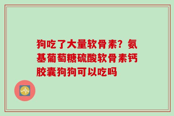 狗吃了大量软骨素？氨基葡萄糖硫酸软骨素钙胶囊狗狗可以吃吗
