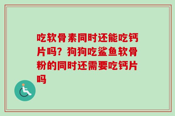 吃软骨素同时还能吃钙片吗？狗狗吃鲨鱼软骨粉的同时还需要吃钙片吗