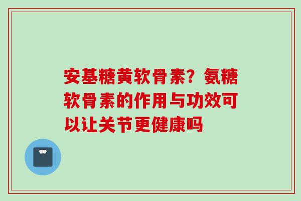 安基糖黄软骨素？氨糖软骨素的作用与功效可以让关节更健康吗