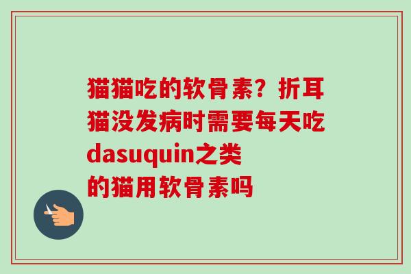 猫猫吃的软骨素?折耳猫没发时需要每天吃dasuquin之类的猫用软骨素吗 猫猫吃的软骨素?折耳猫没发时需要每天吃dasuquin之类的猫用软骨素吗
