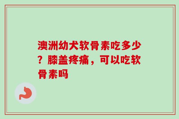 澳洲幼犬软骨素吃多少？膝盖疼痛，可以吃软骨素吗